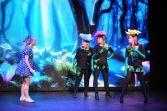 Alice-in-Wonderland-De-Narrekap-74